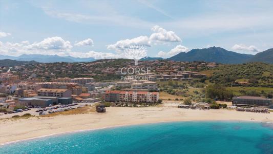 Vente Appartement 2 pi�ces PROPRIANO 20110