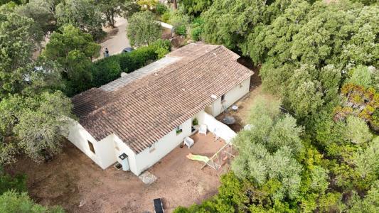 Vente Maison 6 pi�ces SAN-GAVINO-DI-CARBINI 20170