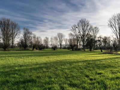 Vente Terrain FAVRIEUX 78200
