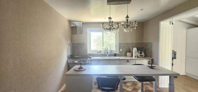 Vente Maison SAINT-GEORGES-DE-RENEINS