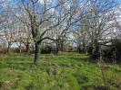 Land SAUZE-VAUSSAIS 