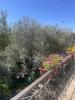 For sale House Mages EN BORDURE DU VILLAGE 30960 100 m2 5 rooms