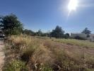 Land  INTERMARCH�