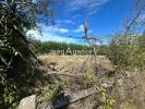 Annonce Vente Terrain Saint-galmier