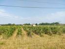 Acheter Terrain 31300 m2 Sainte-eulalie