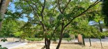 House CUGES-LES-PINS 