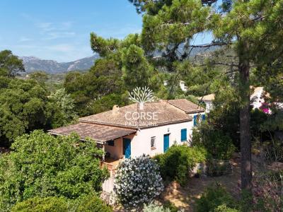 Vente Maison 5 pi�ces PORTO-VECCHIO 20137