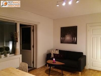 Location Appartement 2 pi�ces LYON 69000