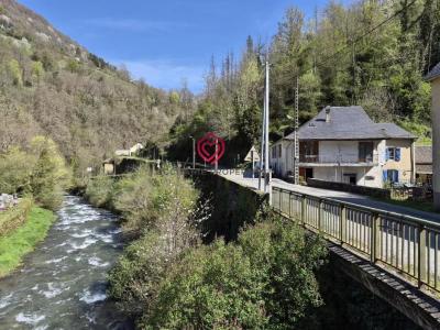Vente Maison 10 pi�ces COUFLENS 09140