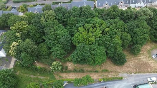 Vente Terrain GRANVILLE 50400