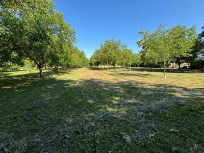 Vente Terrain RIVIERE 38210