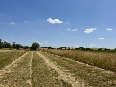 Vente Terrain HARAUCOURT 54110