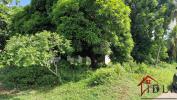 Acheter Terrain 3191 m2 Petit-bourg