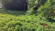 Acheter Terrain Petit-bourg Guadeloupe