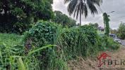 Acheter Terrain Petit-bourg 250000 euros