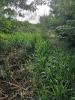 Annonce Vente Terrain Vauclin