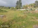 Annonce Vente Terrain Saint-leu