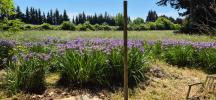 Acheter Maison Caumont-sur-durance 795000 euros