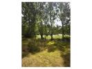 Annonce Vente Prestige Courlay