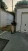 Annonce Location 2 pi�ces Maison Lucon