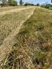 Acheter Terrain Haraucourt Meurthe et moselle