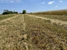 Acheter Terrain Haraucourt 36000 euros