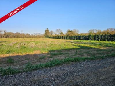 Vente Terrain PLOUVARA 22170
