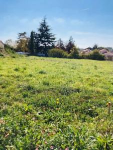 Vente Terrain OUDON 44521