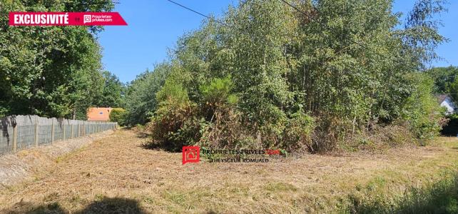Vente Terrain EGREVILLE 77620