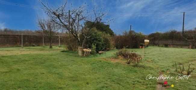 Vente Terrain CHAUVIGNY  86