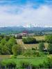 Vente Prestige Limoux 11