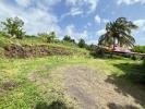 Vente Terrain Gourbeyre  97113 545 m2