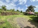 Annonce Vente Terrain Gourbeyre