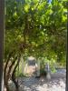 Annonce Location 5 pi�ces Appartement Villeurbanne