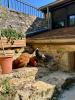Annonce Vente 3 pi�ces Maison Saint-martial-d'albarede