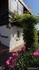 Acheter Maison Sainte-croix-aux-mines 139000 euros