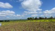 Vente Terrain Haraucourt 54110 494 m2
