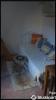 Annonce Location 3 pièces Appartement Alencon