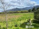 Acheter Maison Laroque-des-alberes 473000 euros
