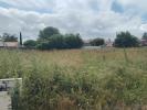 Annonce Vente Terrain Haie-fouassiere