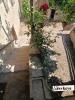 Annonce Vente 5 pi�ces Maison Cruzille