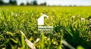 For sale Land Plan-d'orgon  13750 400 m2