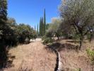 Annonce Vente Terrain Boisseron