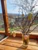 Acheter Maison 42 m2 Jussarupt