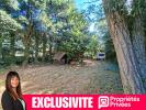 Acheter Terrain Ambierle 25000 euros