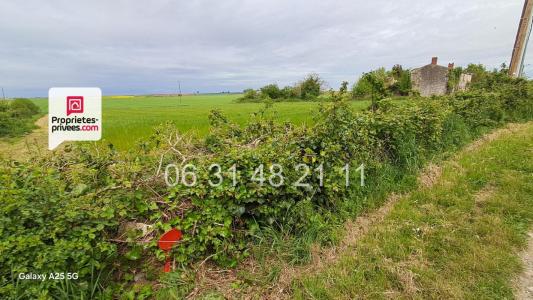 Vente Terrain MONTREUIL 85200