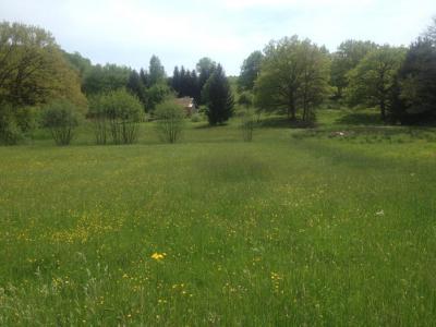 Vente Terrain PHAFFANS 90150