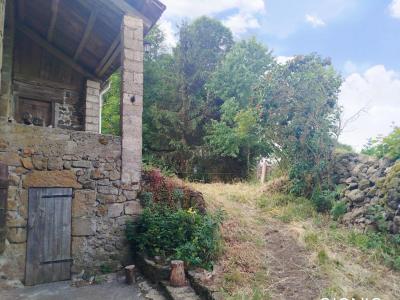 Vente Maison 2 pi�ces SAINT-PAUL-DE-TARTAS 43420