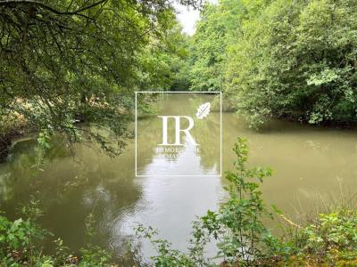 Vente Maison LAMOTTE-BEUVRON 