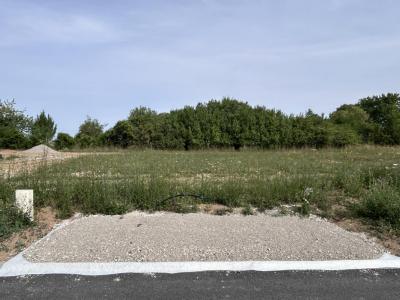 Vente Terrain SARRY 51520